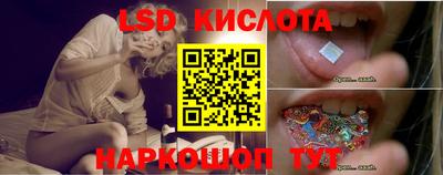 крисы Новодвинск