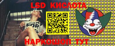 крисы Новодвинск