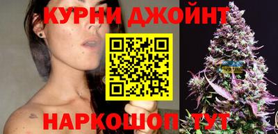 крисы Новодвинск