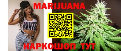 крисы Новодвинск