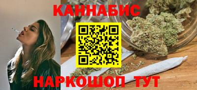 крисы Новодвинск