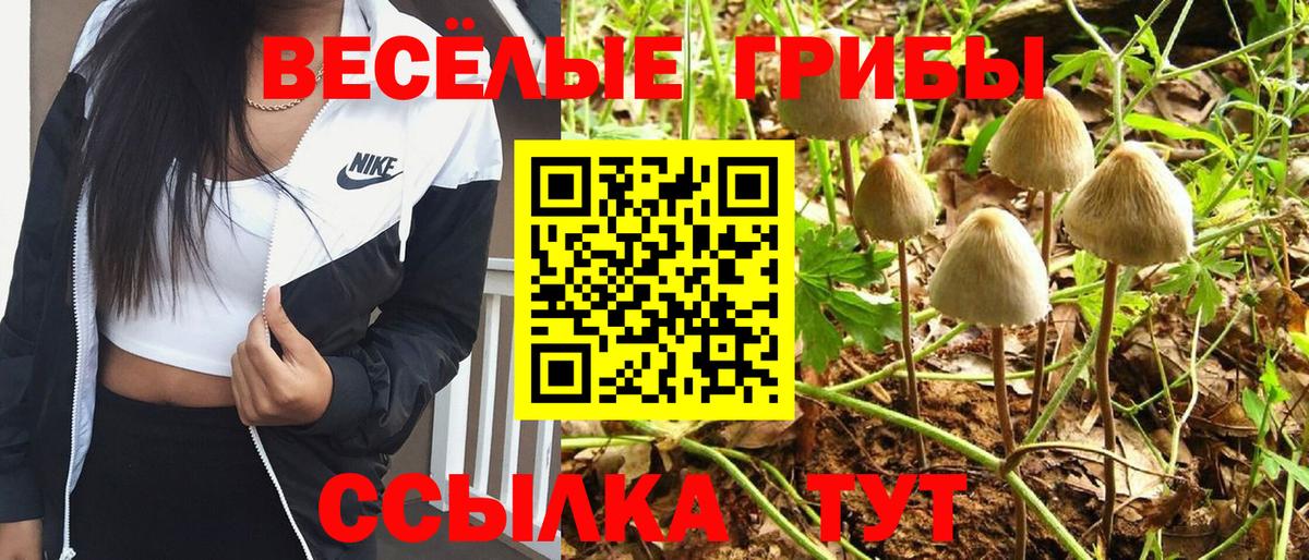 где найти наркотики  Псилоцибиновые грибы Cubensis  Вход с VPN  Псилоцибиновые грибы Magic Shrooms  Псков 